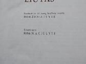 Lapė ir liūtas - nuotraukos Nr. 2