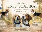 Estų Skalikai / Estonian Hound - nuotraukos Nr. 10