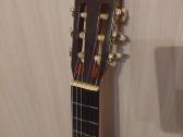 Gitara - nuotraukos Nr. 2
