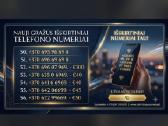 VIP grazus nr 22222 66666 - nuotraukos Nr. 3