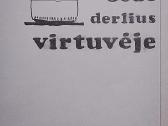 Sodo derlius virtuvėje - nuotraukos Nr. 2