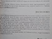 Sodo derlius virtuvėje - nuotraukos Nr. 9
