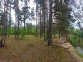 Vaizdingas sklypas prie Merkio, Varėnos r. - nuotraukos Nr. 7