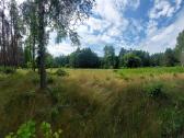 Vaizdingas sklypas prie Merkio, Varėnos r. - nuotraukos Nr. 8