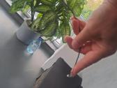 Meškerė spiningas Skachaser carbon - nuotraukos Nr. 6