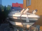 Kateris marex Dixie21 - nuotraukos Nr. 2