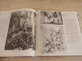 Istorinės Europos bibliotekos 1974m. - nuotraukos Nr. 9