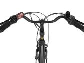 Elektrinis dviratis Ecobike Basic Greenway, 19" - nuotraukos Nr. 2