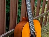 Yamahaklasikine gitara - nuotraukos Nr. 3