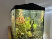 Akvariumas Aquael - nuotraukos Nr. 2