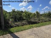 5 sklypai ramiausiuose Liudvinavo soduose - nuotraukos Nr. 6