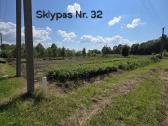 5 sklypai ramiausiuose Liudvinavo soduose - nuotraukos Nr. 12