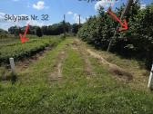 5 sklypai ramiausiuose Liudvinavo soduose - nuotraukos Nr. 13