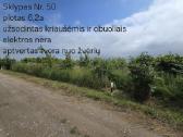 5 sklypai ramiausiuose Liudvinavo soduose - nuotraukos Nr. 18
