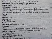 Lietuviški-angliški pasikalbėjimai turistams - nuotraukos Nr. 7