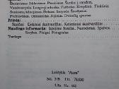 Lietuviški-angliški pasikalbėjimai turistams - nuotraukos Nr. 9