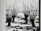 I. Simonaitytė. Aukštujų Šimonių likimas.1985 m. l - nuotraukos Nr. 14