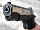 Parduodamas Gsg 1911 22lr kalibro pistoletas - nuotraukos Nr. 8