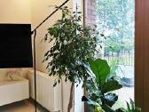 Ikea Vghöjd LED toršeras - nuotraukos Nr. 2