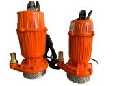 Elektrinis vandens siurblys Hk-2450 - nuotraukos Nr. 3