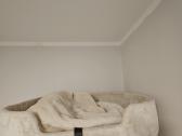 Katės draskyklė 180cm - nuotraukos Nr. 7