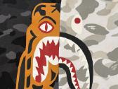 A Bathing Ape (Bape) megztinis - nuotraukos Nr. 4