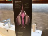 Dyson airstrait - nuotraukos Nr. 3
