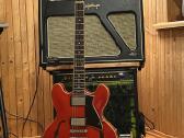 Cort Source Like Es-335 semihollow - nuotraukos Nr. 2