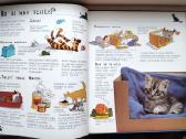 Katės ir kačiukai - nuotraukos Nr. 4