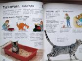 Katės ir kačiukai - nuotraukos Nr. 10