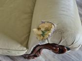 Sofa, foteliai - nuotraukos Nr. 5