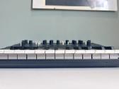 Korg monologue - nuotraukos Nr. 3