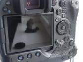 Canon R3 - nuotraukos Nr. 3