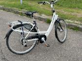 Batavus Mambo Easy Limited elektrinis dviratis - nuotraukos Nr. 6