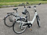 Batavus Mambo Easy Limited elektrinis dviratis - nuotraukos Nr. 18
