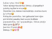 Profesionali pagalba studentams: atsiliepimai - nuotraukos Nr. 3