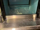 Parduodamas Icetech ledukų generatorius - nuotraukos Nr. 2