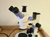 Profesionalus mikroskopas Delta Optical - nuotraukos Nr. 3