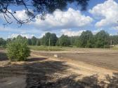 Parduodamas sklypas, ribojasi su Grūdos upe - nuotraukos Nr. 5