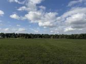 Parduodamas išskirtinis 67 arų namų valdos sklypas - nuotraukos Nr. 15