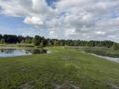 Parduodamas išskirtinis 67 arų namų valdos sklypas - nuotraukos Nr. 24