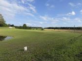 Parduodamas išskirtinis 67 arų namų valdos sklypas - nuotraukos Nr. 25