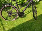Cube KTM bergemont gazelle trek kalkoff pegasus - nuotraukos Nr. 7