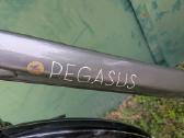 Pegasus salerno - nuotraukos Nr. 2