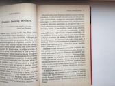 R. Sharma. Vienuolis, kuris pardavė Ferrarį - nuotraukos Nr. 7