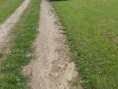 Parduodamas 6 Arų Sodo Sklypas Balsupiuose - nuotraukos Nr. 5