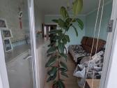 Fikusas (Ficus elastica) - nuotraukos Nr. 2