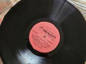 Vinilai - nuotraukos Nr. 11