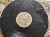 Vinilai - nuotraukos Nr. 14