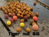 Tigriniai riešutai Big - nuotraukos Nr. 3